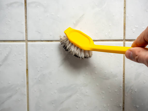  Mount Airy, GA Mold Removal Pros