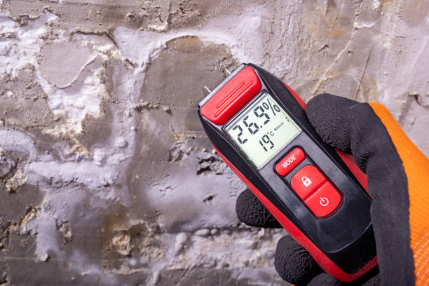 Best Residential Mold Remediation in Mount Airy, GA