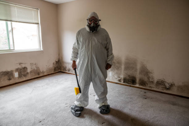 Best HVAC Mold Remediation in Mount Airy, GA