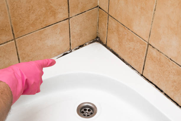 Best Bathroom Mold Remediation in Mount Airy, GA